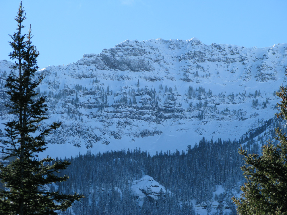 Elephant Mountain